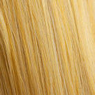hair colour honey blonde 24BH613