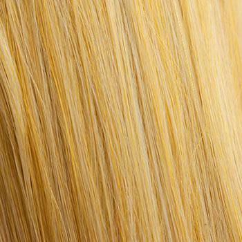 hair colour ginger blonde 24BH613